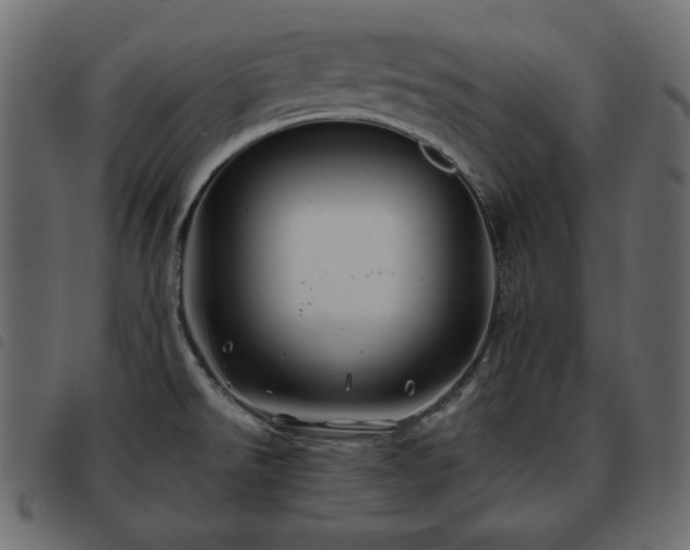 X0000093581526200710151135