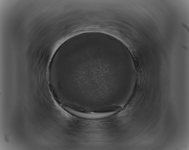 X0000093581527200710151135
