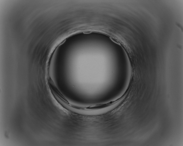 X0000093581528200710151135