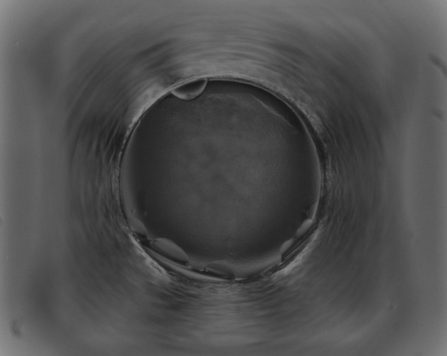 X0000093581529200710151135