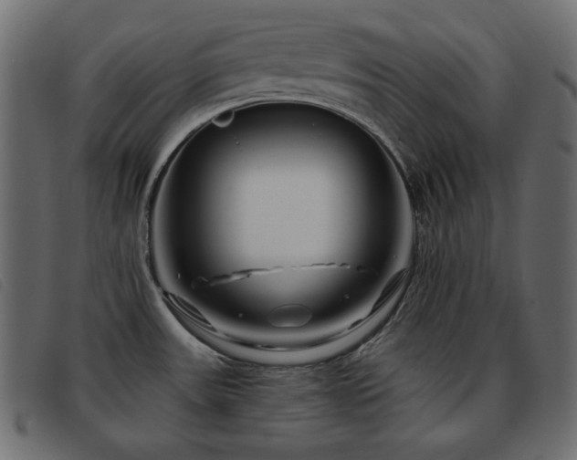 X0000093581531200710151135