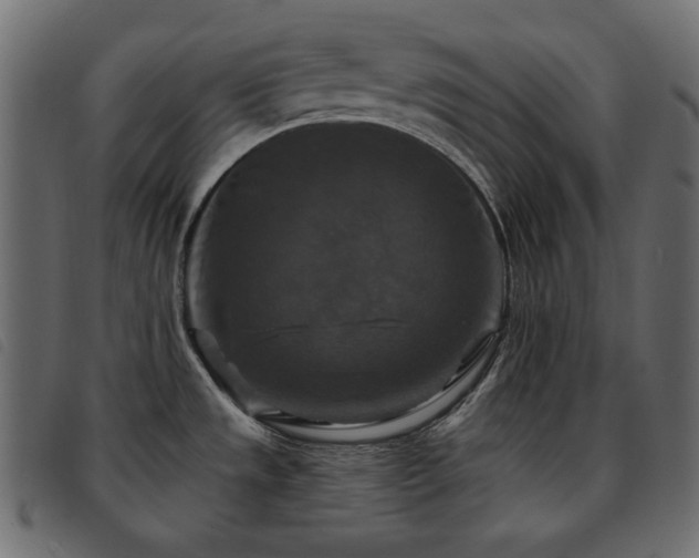 X0000093581533200710151135