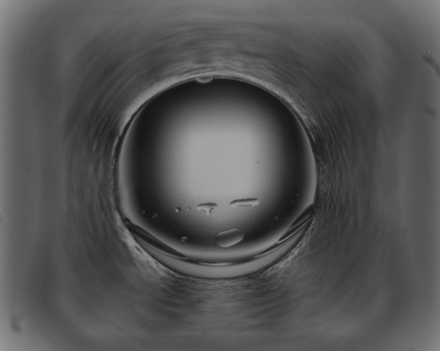 X0000093581534200710151135