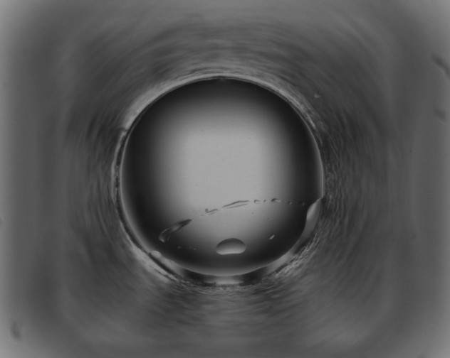 X0000093581535200710151135