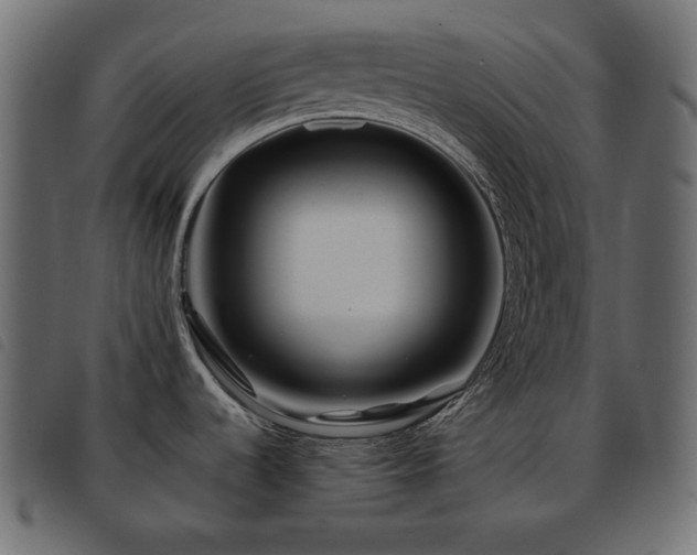 X0000093581536200710151135