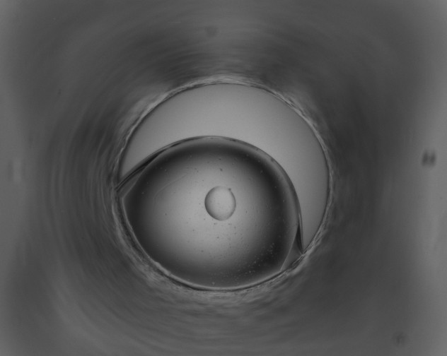 X0000093580001200710221512
