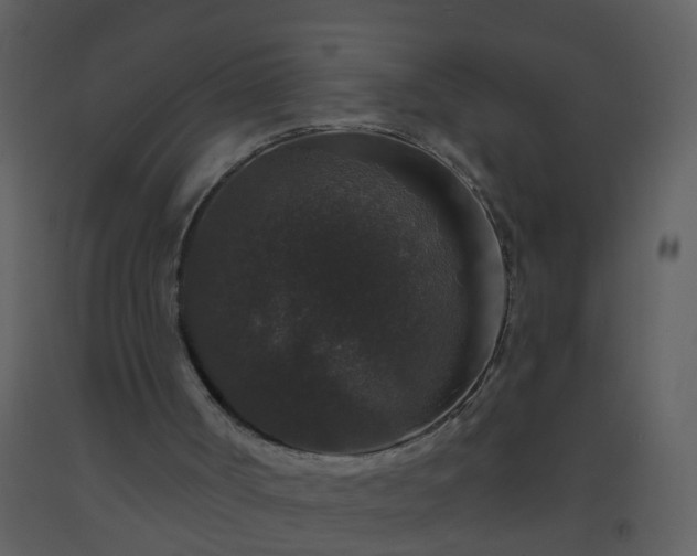 X0000093580002200710221512