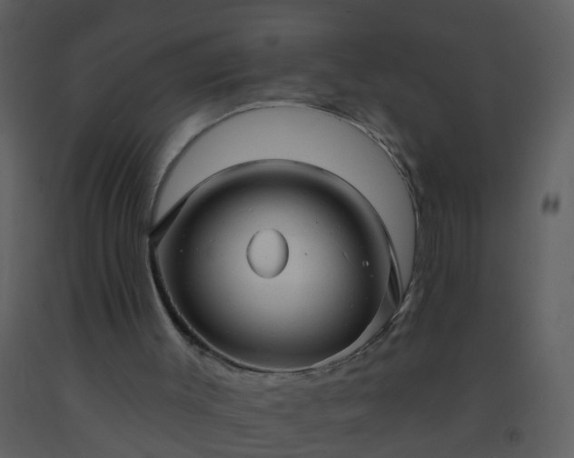 X0000093580003200710221512