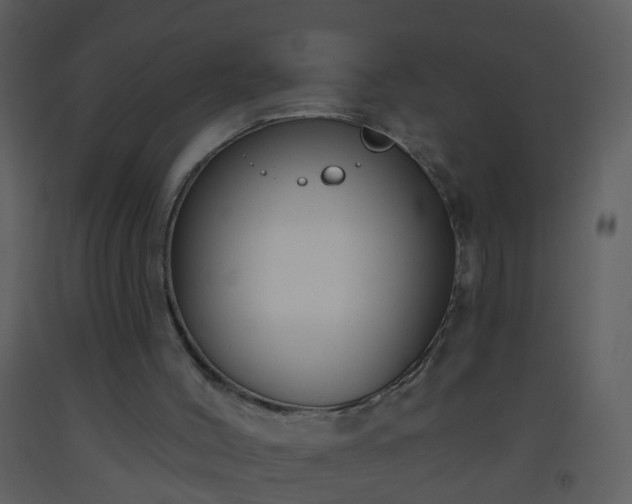 X0000093580004200710221512