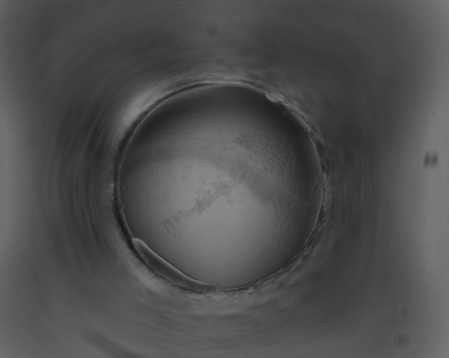 X0000093580005200710221512