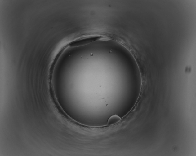 X0000093580006200710221512