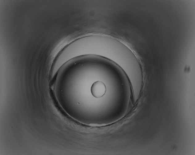X0000093580007200710221512