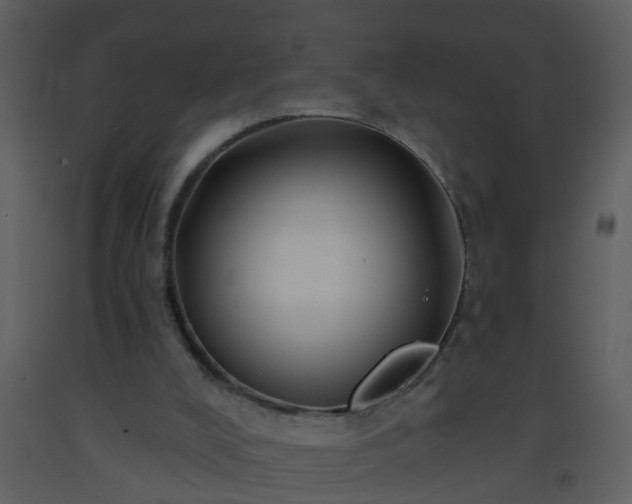X0000093580008200710221512