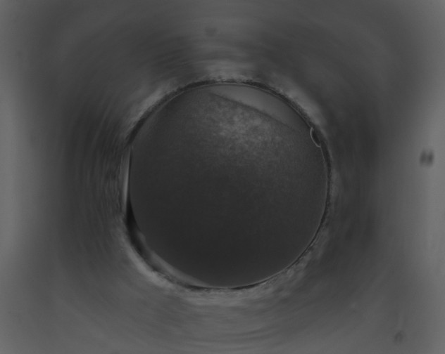 X0000093580009200710221512