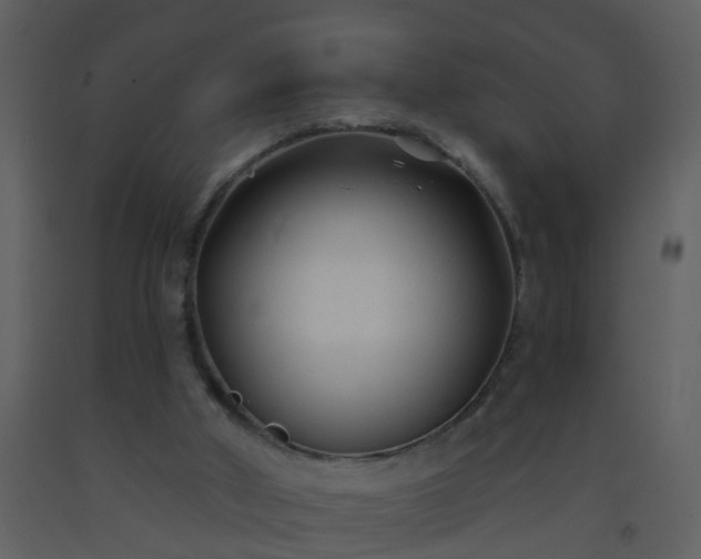 X0000093580010200710221512