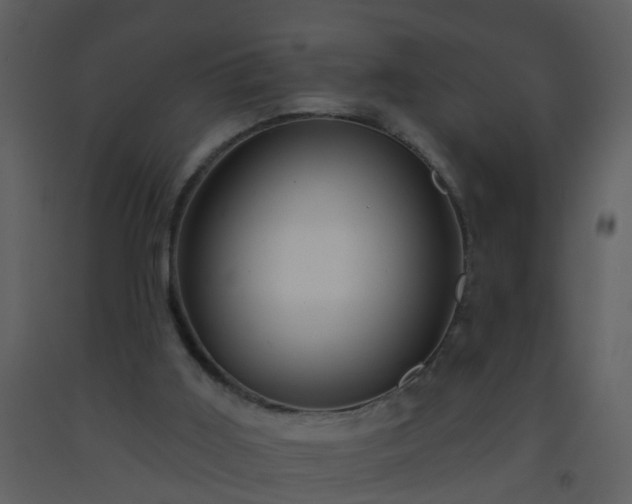 X0000093580011200710221512
