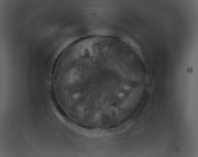 X0000093580012200710221512