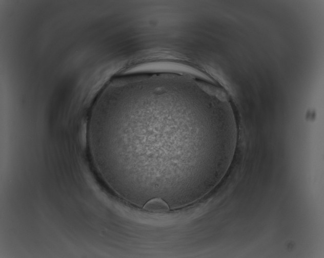 X0000093580014200710221512