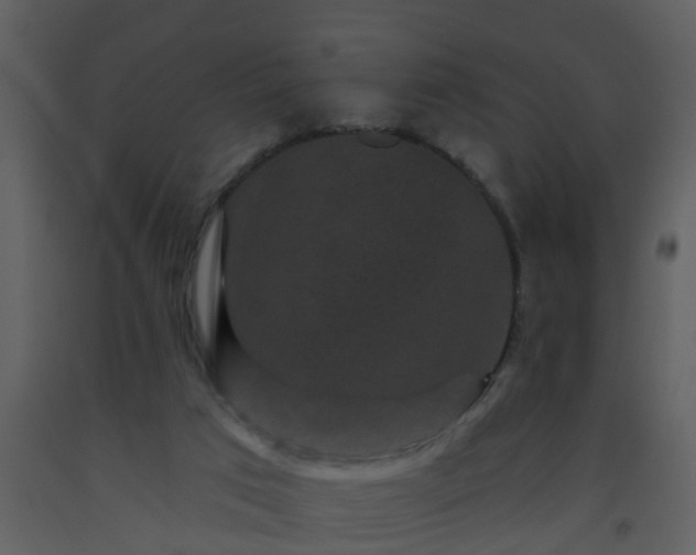 X0000093580017200710221512
