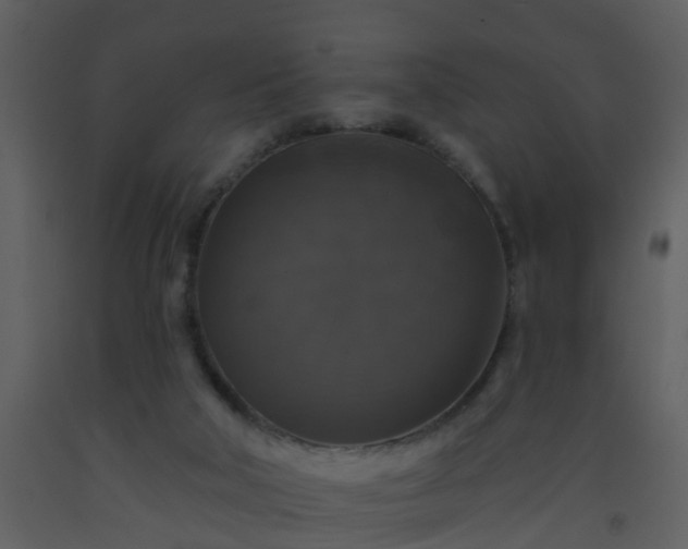 X0000093580018200710221512