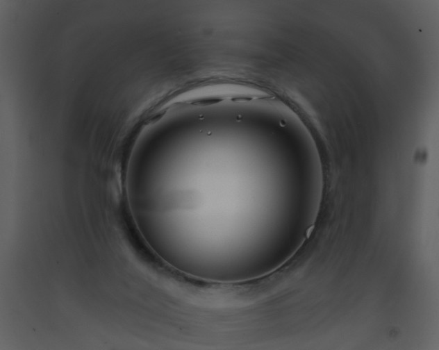 X0000093580020200710221512