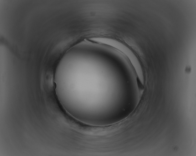 X0000093580021200710221512