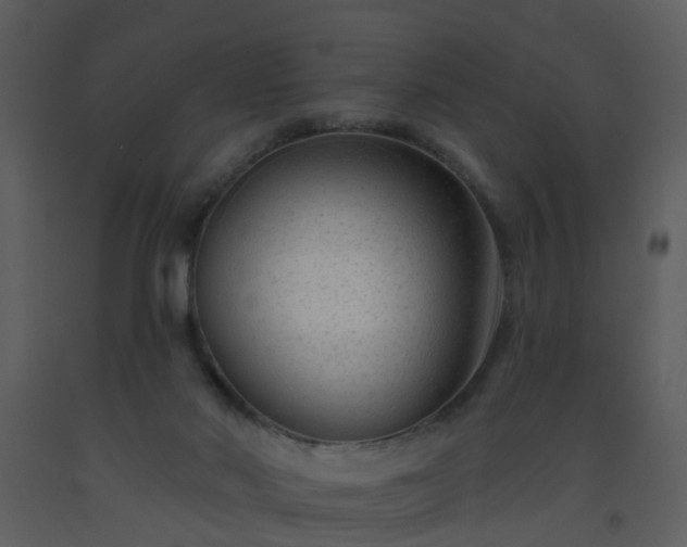 X0000093580022200710221512