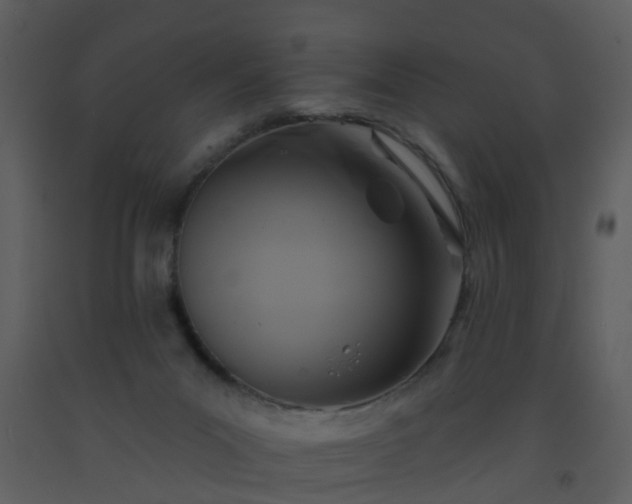 X0000093580023200710221512