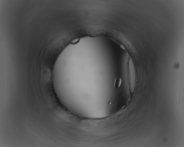 X0000093580025200710221512