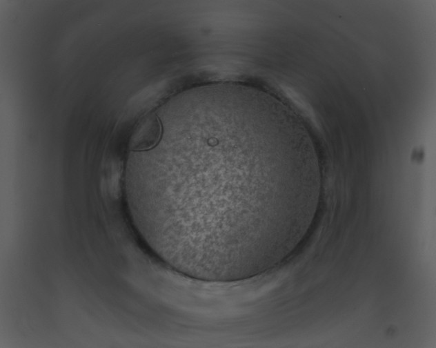 X0000093580026200710221512