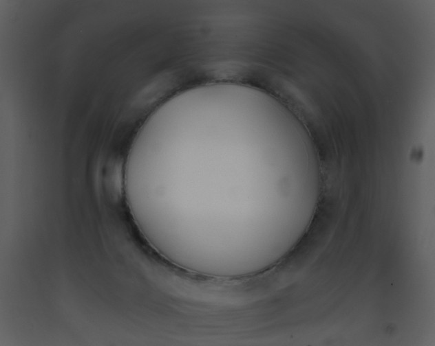 X0000093580028200710221512