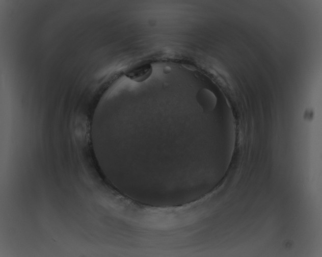 X0000093580029200710221512