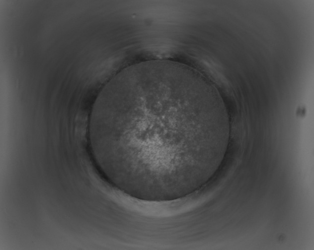 X0000093580030200710221512