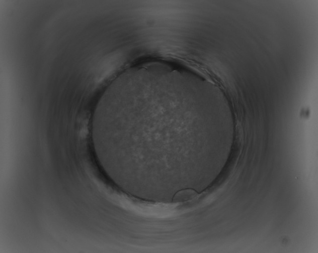 X0000093580032200710221512