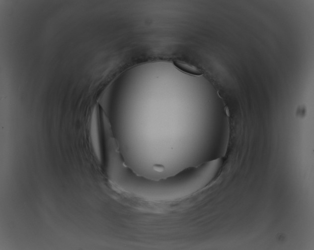 X0000093580033200710221512