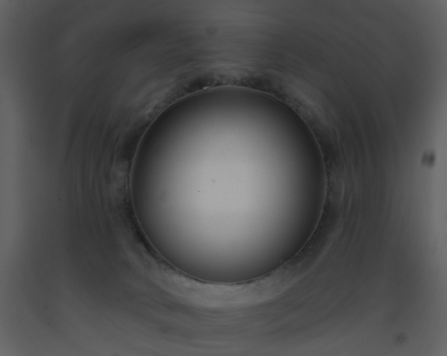X0000093580034200710221512