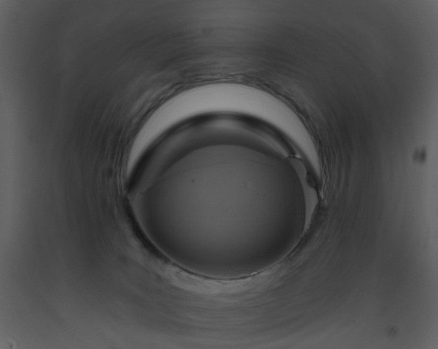 X0000093580035200710221512