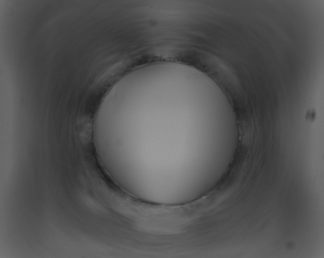 X0000093580036200710221512