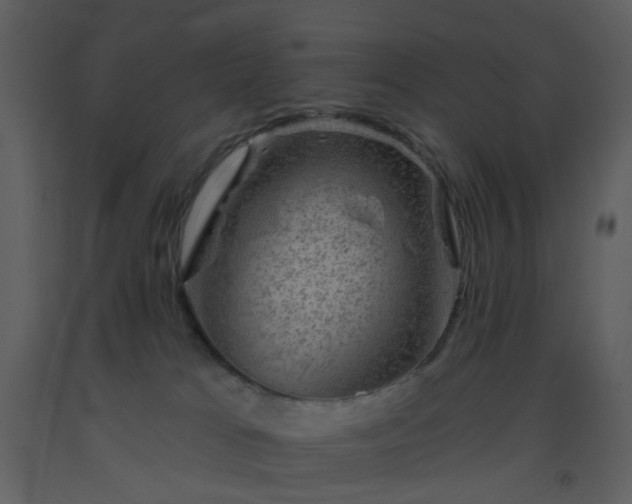 X0000093580037200710221512