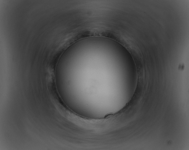 X0000093580038200710221512