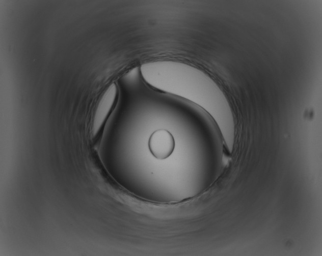 X0000093580039200710221512