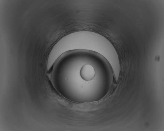 X0000093580041200710221512