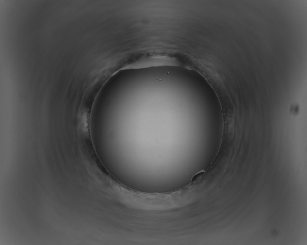 X0000093580042200710221512