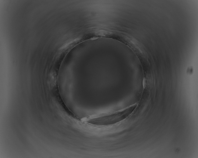 X0000093580043200710221512