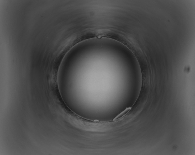 X0000093580044200710221512