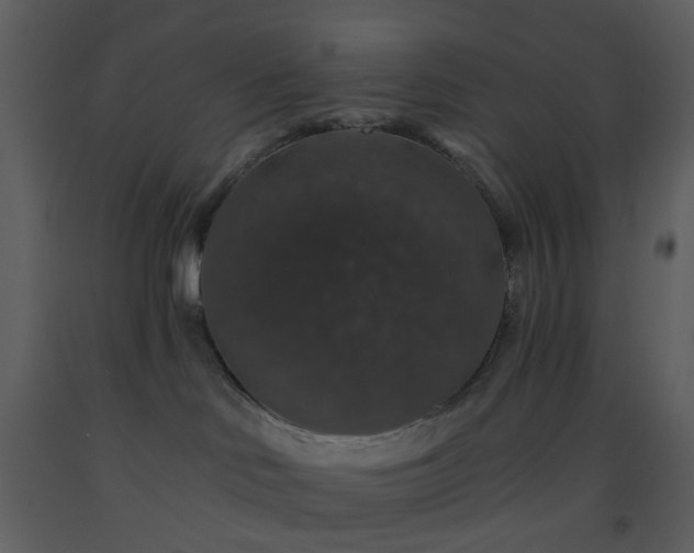 X0000093580046200710221512