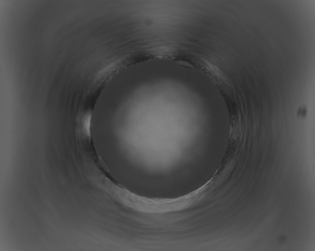 X0000093580047200710221512