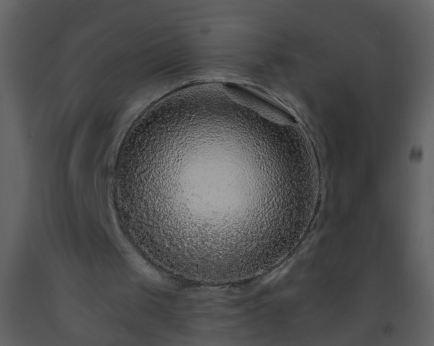 X0000093580049200710221511