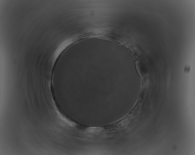 X0000093580051200710221511