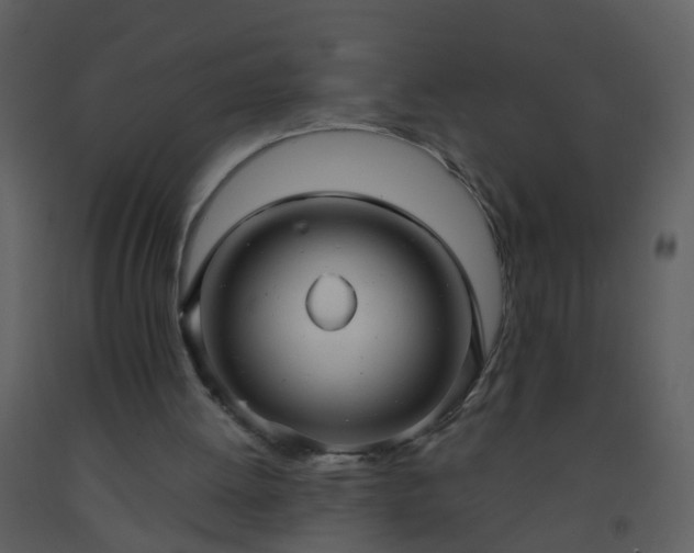 X0000093580052200710221511